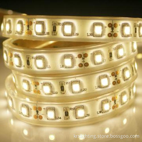 Best IP68 Swimming Pool Waterproof LED Ribbon 5050 Light Decoration